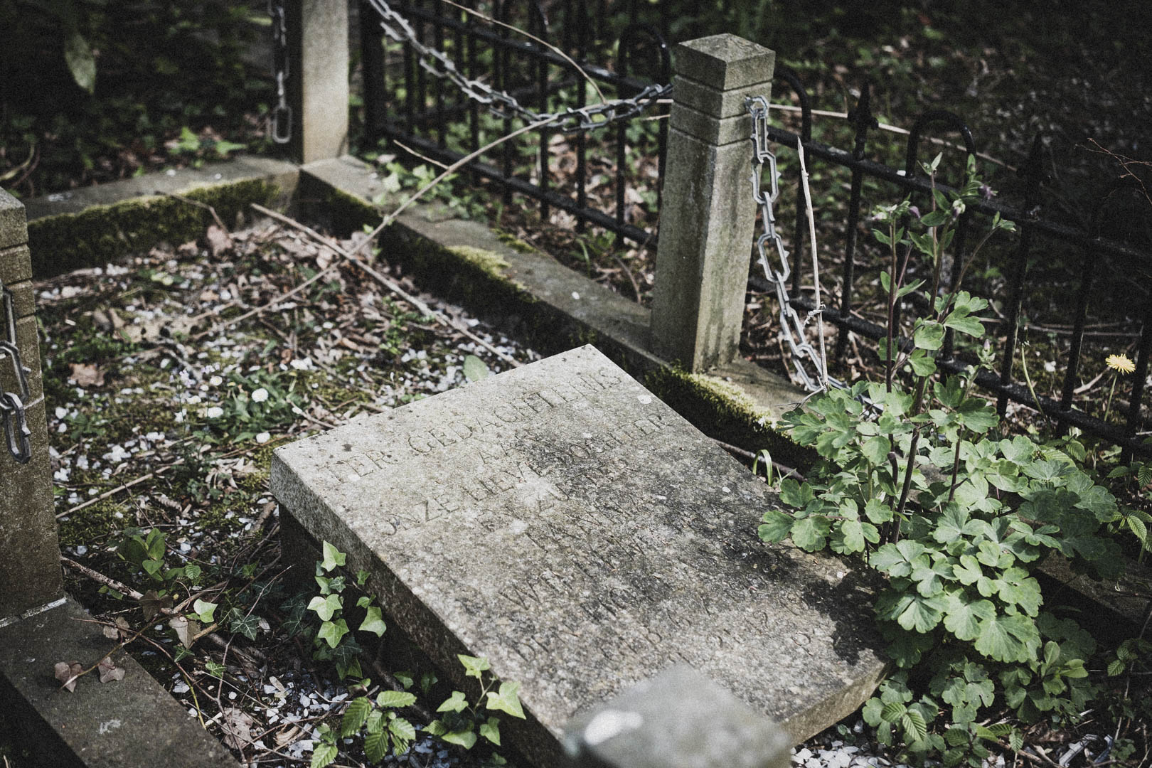 Middelharnis, Jüdischer Friedhof